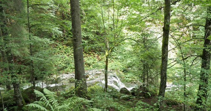 To see in Upper Bavaria. Hiking tour on a forest path along the schiffbach between Enterrrottach-Sutten, Rottach-Wasserfall, Sibli-Wasserfall and Rottachalm in Bavarian Alps