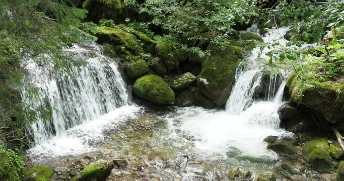 The Schiffbach in Upper Bavaria, a stream with clear waters flowing in cascades von Rottachalm near Risserkogel and rocky Blankenstein bis Enterrottach und Unterwallberg, region of Tegernsee  
