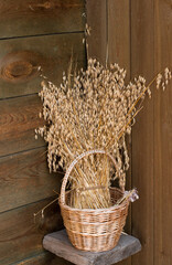 On the table is a wicker basket with a bunch of oats in the corner of an old wooden house.