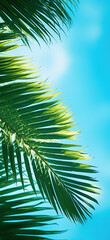 Palm tree leaves and clear blue summer sky, abstract background