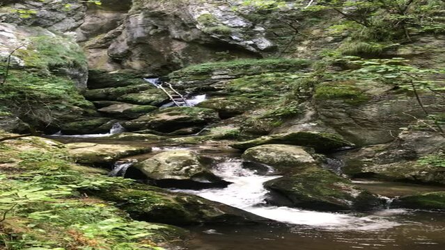 Waterfall  Cerna valley , in Caras Severin county, near Cerna Sat. Vertical video.