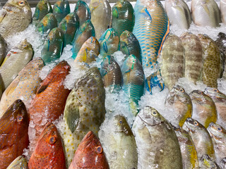 Fresh sea fish on ice in a seafood store
