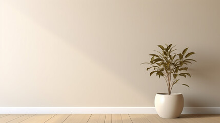 empty room interior background beige wall pot
