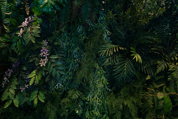 Nature green leaves background, tropical leaf banner or floral jungle pattern concept.