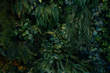 Nature green leaves background, tropical leaf banner or floral jungle pattern concept.