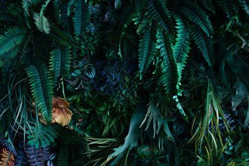 Nature green leaves background, tropical leaf banner or floral jungle pattern concept.