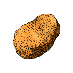 crispy chicken nuggets hand drawn. fried vector, ketchup sauce, tasty meal crispy chicken nuggets vector sketch. isolated color illustration