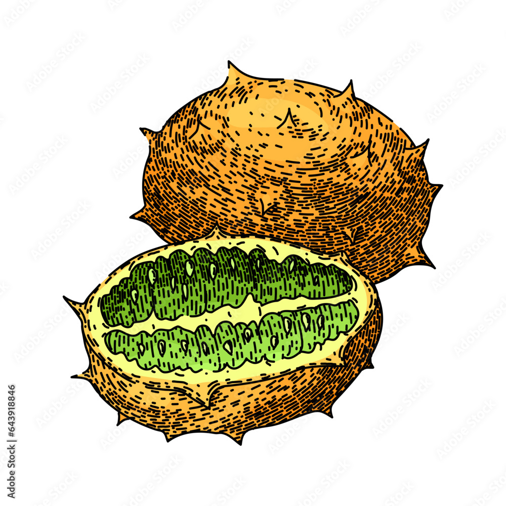 Poster melon kiwano hand drawn. sweet horned, food nature, green orange melon kiwano vector sketch. isolated color illustration