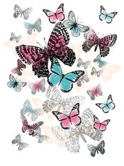 set of butterflies on plain base