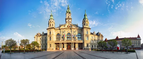 Deurstickers Panorama of City hall in town Gyor, Hungary © TTstudio