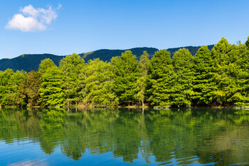 Fototapeta premium Beautiful lake with green tree reflection in Hualien County of Taiwan