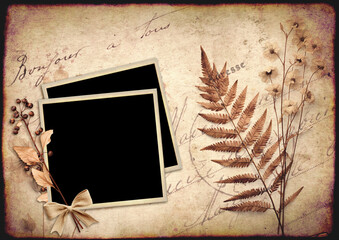 Retro background with photo frame and dry pressed leaf and flower. Nostalgic scrapbooking backdrop with old vintage paper and inscription "Bonjour a tous" (Hello everybody) in french © frenta