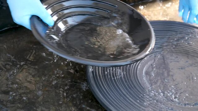 Gold pans washing process gold rush, mining gold mining digger outdoor. diggers filter gold wash through water with gloves game Real people search 