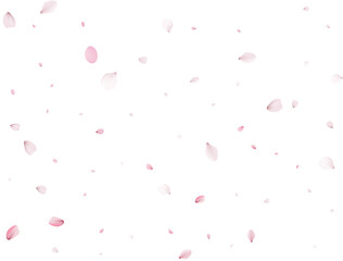 Sakura flying petals, romantic background.