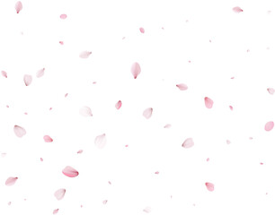 Fototapeta na wymiar Sakura flying petals, romantic background.