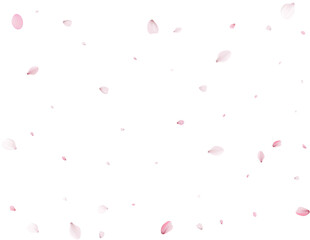 Sakura flying petals, romantic background.