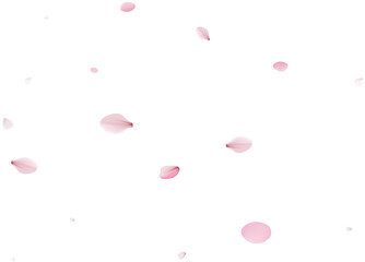Romantic Sakura Background