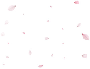 Romantic Sakura Background