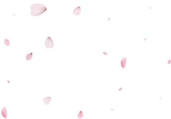 Romantic Sakura Background