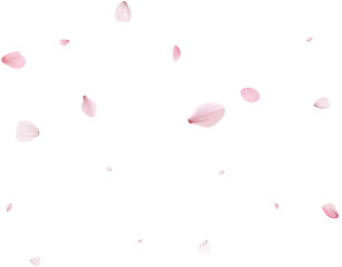 Romantic Sakura Background