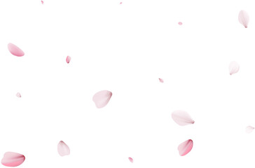 Romantic Sakura Background