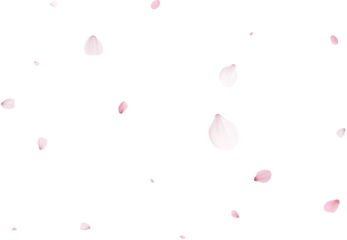 Romantic Sakura Background