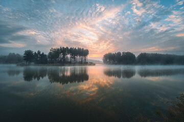 Sunrise over the lagoon. Misty summer morning. Pine trees on the other shore. Krasnobrod, Roztocze,...