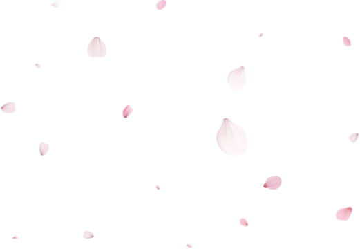 Romantic Sakura Background