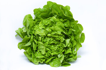 fresh lettuce