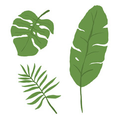 Vector tropical green leaves set