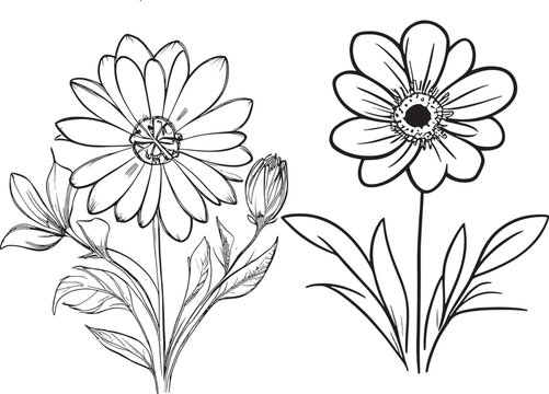 Hand-drawn flowers in Monochrome Style and simple Line Art Flowers in Black and White