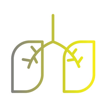 Breathe Air Anatomy