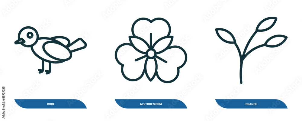 Poster set of 3 linear icons from nature concept. outline icons such as bird, alstroemeria, branch vector