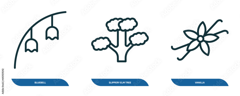 Aufkleber set of 3 linear icons from nature collection. thin concept. outline icons such as bluebell, slippery