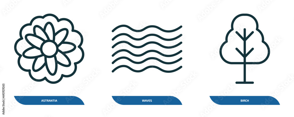 Poster set of 3 linear icons from nature concept. outline icons such as astrantia, waves, birch vector