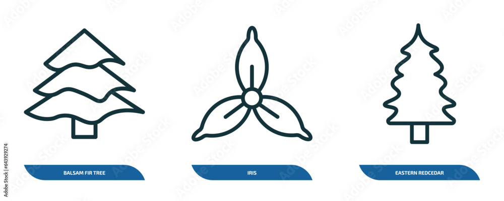 Poster set of 3 linear icons from nature concept. outline icons such as balsam fir tree, iris, eastern redc