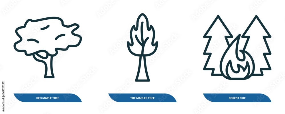 Poster set of 3 linear icons from nature concept. outline icons such as red maple tree, the maples tree, fo