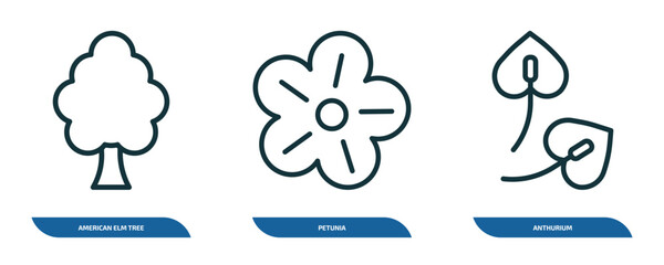 Obraz premium set of 3 linear icons from nature concept. outline icons such as american elm tree, petunia, anthurium vector