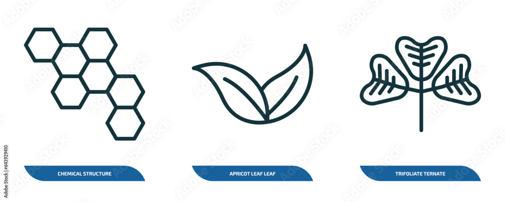 Poster set of 3 linear icons from nature concept. outline icons such as chemical structure, apricot leaf le