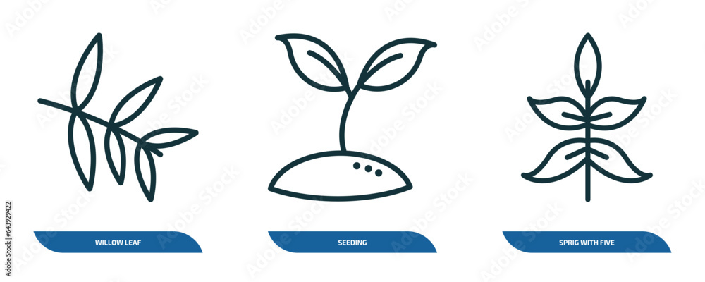 Poster set of 3 linear icons from nature concept. outline icons such as willow leaf, seeding, sprig with fi