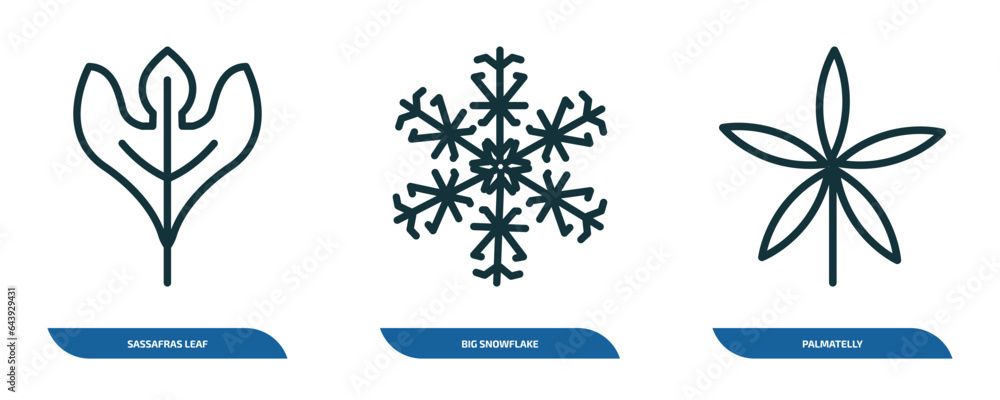 Poster set of 3 linear icons from nature concept. outline icons such as sassafras leaf, big snowflake, palm