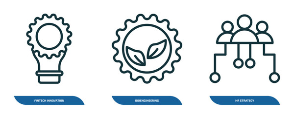 set of 3 linear icons from general concept. outline icons such as fintech innovation, bioengineering, hr strategy vector