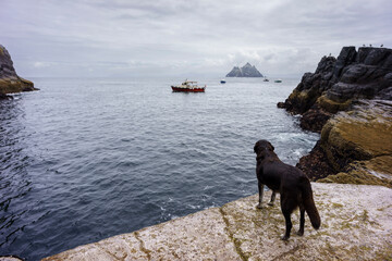 visitor disembarkation port, Skellig Michael island, Mainistir Fhion&aacute;in (St. Fionan&rsquo;s Monastery), county Kerry, Ireland, United Kingdom