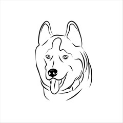 Minimalist line art drawing of husky, pets illustration, dogs illustration