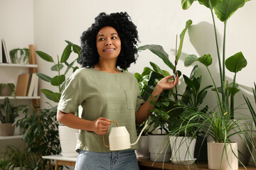 Happy woman watering beautiful potted houseplants at home