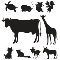 farm animals collection