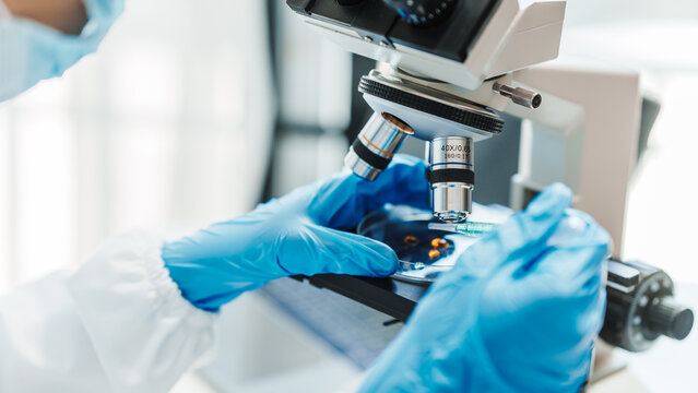 Close up scientist conducting precise virus lab test, scientific methodology, microbiologist conducting virus detection and testing in progress