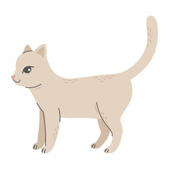 Standing gray cat. Pet, friend. Simple vector illustration in flat cartoon style isolated on white background.