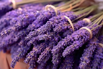close-up of freshly cut lavender tied in bunches