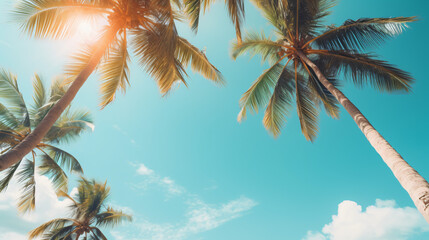 Blue sky and palm trees